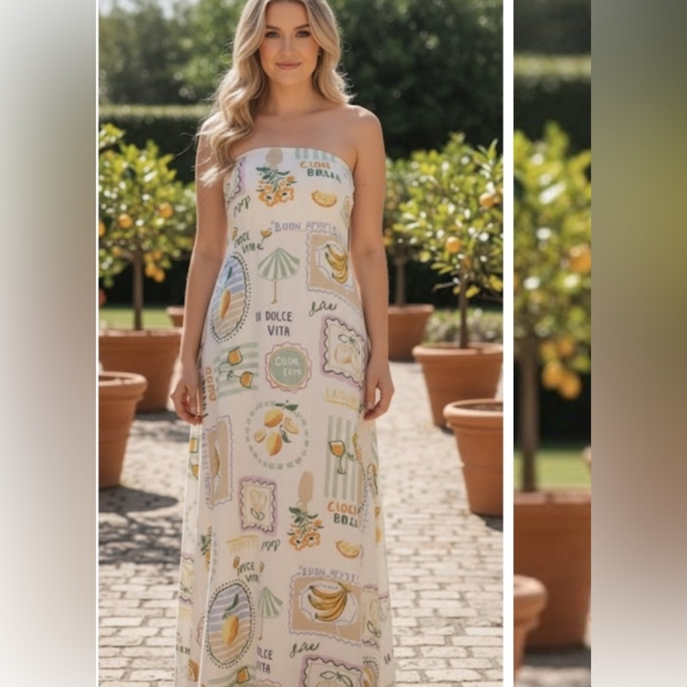 NWOT Anthro dress